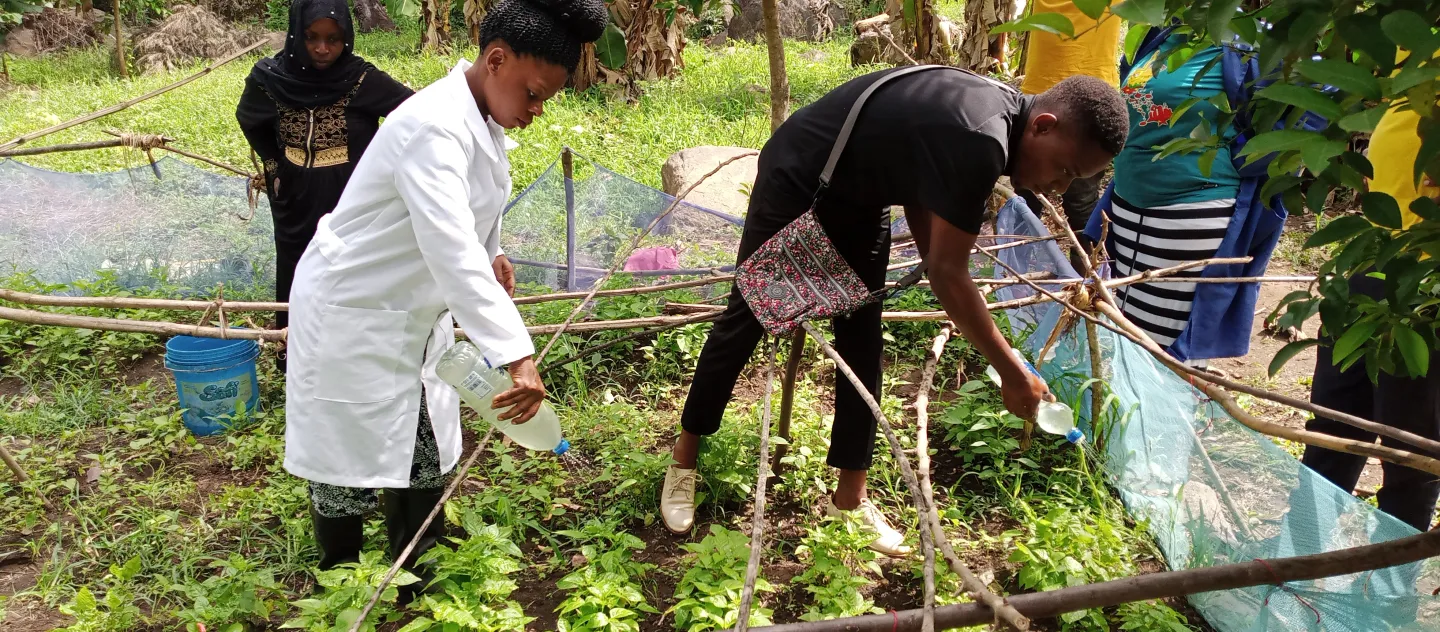 Youth Internship in Poultry and Horticulture Farming
